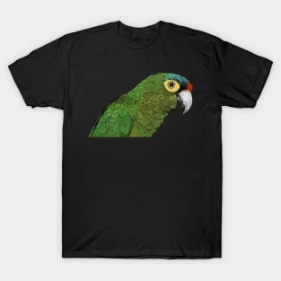 Eupsittula canicularis T-Shirt